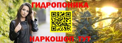 PSILOCYBIN Бийск