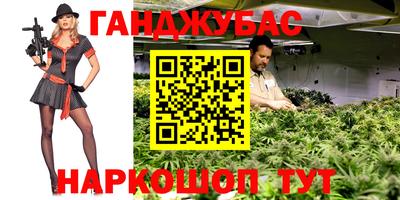 PSILOCYBIN Бийск