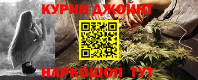 PSILOCYBIN Бийск