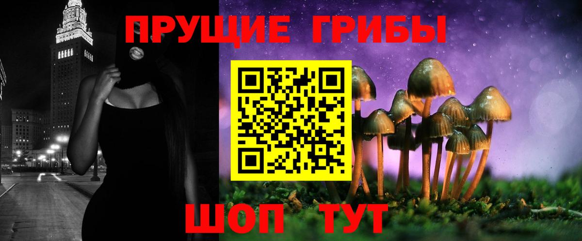 Волгодонск  Псилоцибиновые грибы MAGIC MUSHROOMS  Вход с VPN 